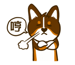 Love Corgi (Cute tricolor) sticker #4919616