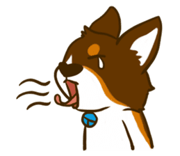 Love Corgi (Cute tricolor) sticker #4919618