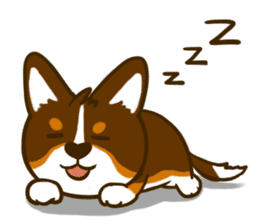 Love Corgi (Cute tricolor) sticker #4919619