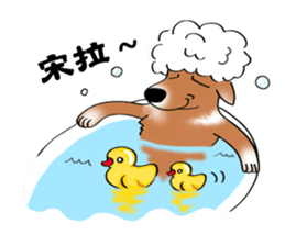 Taiwan Mix Dog-Toffee sticker #4919782