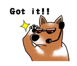 Taiwan Mix Dog-Toffee sticker #4919783