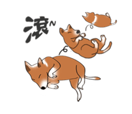 Taiwan Mix Dog-Toffee sticker #4919784