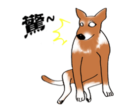 Taiwan Mix Dog-Toffee sticker #4919785
