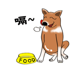 Taiwan Mix Dog-Toffee sticker #4919787
