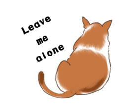 Taiwan Mix Dog-Toffee sticker #4919788