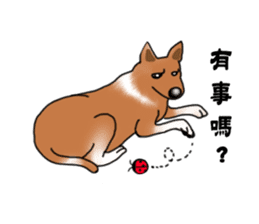 Taiwan Mix Dog-Toffee sticker #4919790