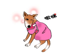 Taiwan Mix Dog-Toffee sticker #4919791