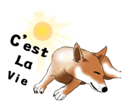 Taiwan Mix Dog-Toffee sticker #4919796