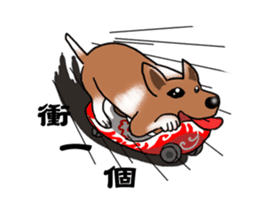 Taiwan Mix Dog-Toffee sticker #4919799
