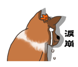 Taiwan Mix Dog-Toffee sticker #4919800