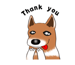 Taiwan Mix Dog-Toffee sticker #4919808