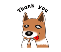 Taiwan Mix Dog-Toffee sticker #4919808