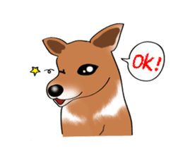 Taiwan Mix Dog-Toffee sticker #4919811