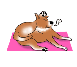 Taiwan Mix Dog-Toffee sticker #4919815