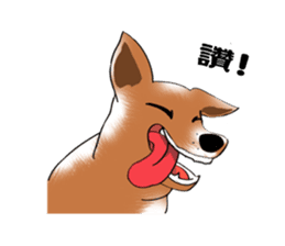 Taiwan Mix Dog-Toffee sticker #4919816