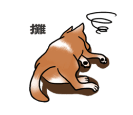Taiwan Mix Dog-Toffee sticker #4919820