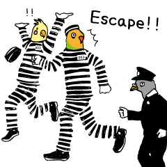 prisoner birds