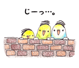 prisoner birds sticker #4920518