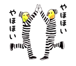 prisoner birds sticker #4920527