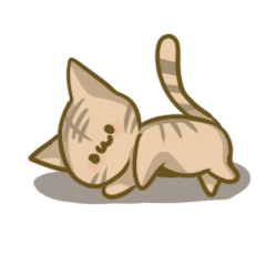 crazy for cat