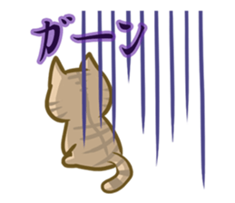 crazy for cat sticker #4921665