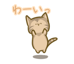 crazy for cat sticker #4921667
