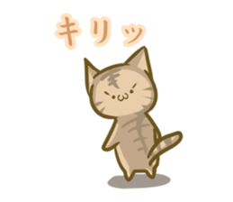 crazy for cat sticker #4921669