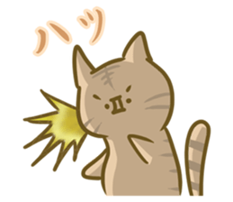 crazy for cat sticker #4921672