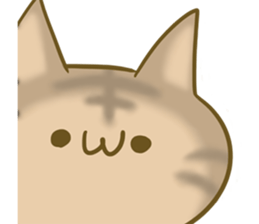 crazy for cat sticker #4921677