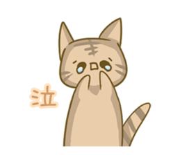 crazy for cat sticker #4921678