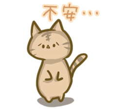 crazy for cat sticker #4921679