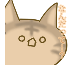 crazy for cat sticker #4921681