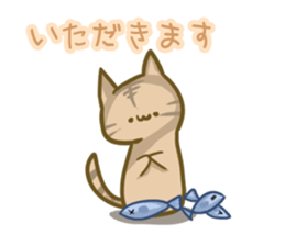 crazy for cat sticker #4921684