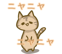 crazy for cat sticker #4921688