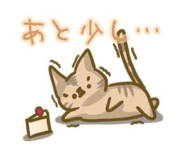 crazy for cat sticker #4921689