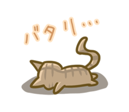 crazy for cat sticker #4921690