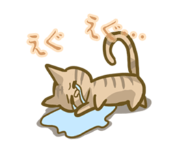 crazy for cat sticker #4921691