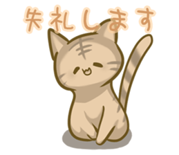 crazy for cat sticker #4921693