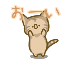 crazy for cat sticker #4921694