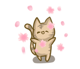 crazy for cat sticker #4921698