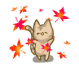 crazy for cat sticker #4921699