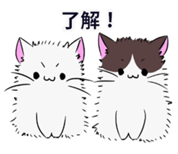 mohucat 2 sticker #4924570