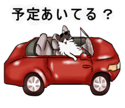 mohucat 2 sticker #4924581