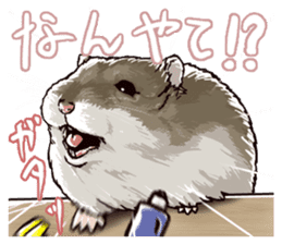 hamster ginji sticker #4925343