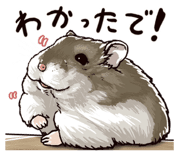 hamster ginji sticker #4925345