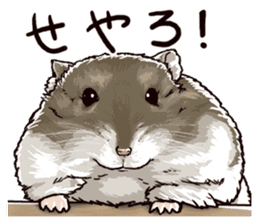 hamster ginji sticker #4925353