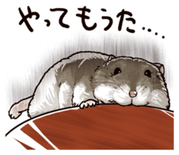 hamster ginji sticker #4925354