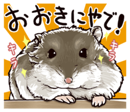 hamster ginji sticker #4925360