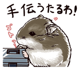 hamster ginji sticker #4925361