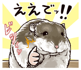 hamster ginji sticker #4925362